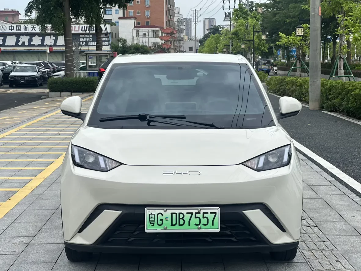 BYD seagull