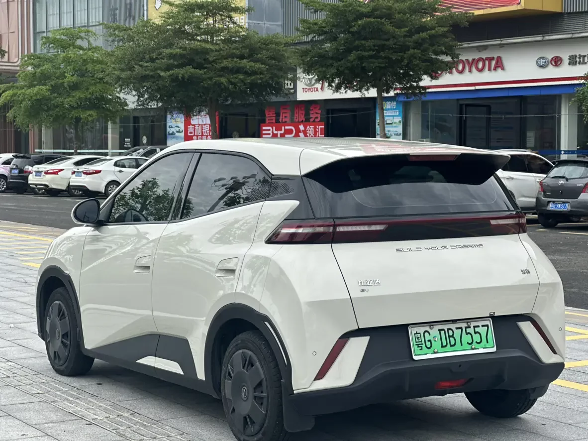 BYD seagull