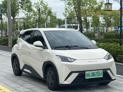 BYD Seagull