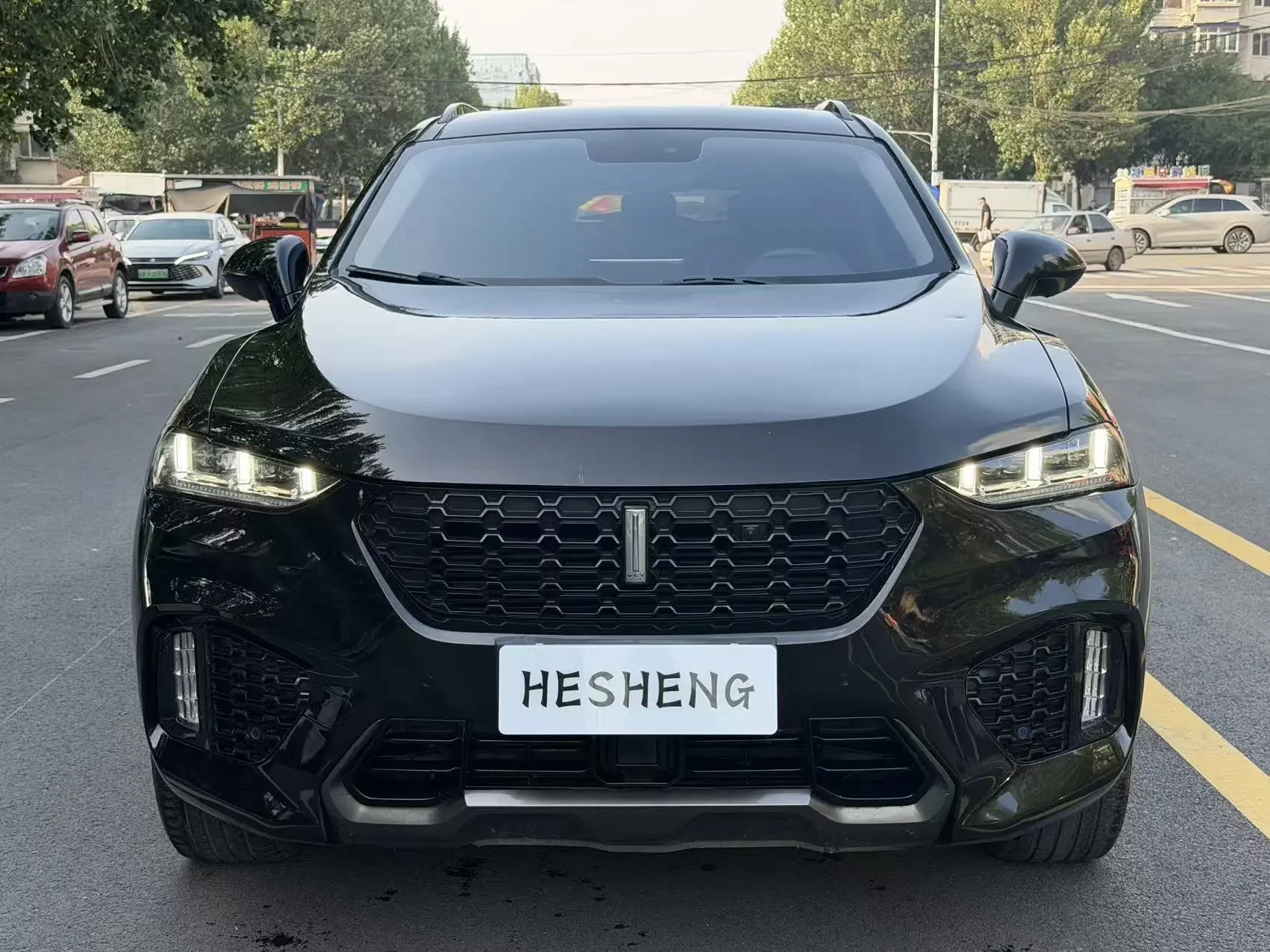 Wey Wei brand VV7