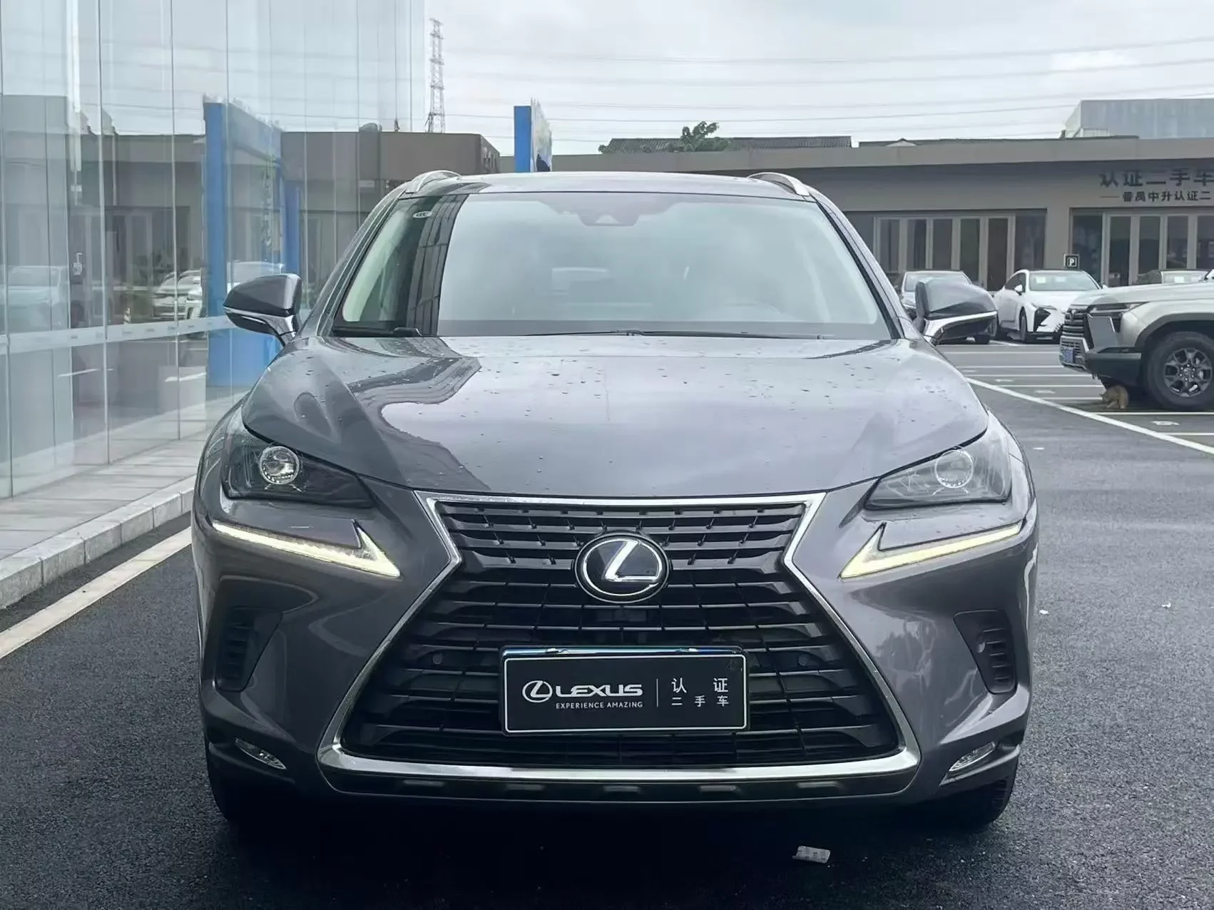 Lexus NX
