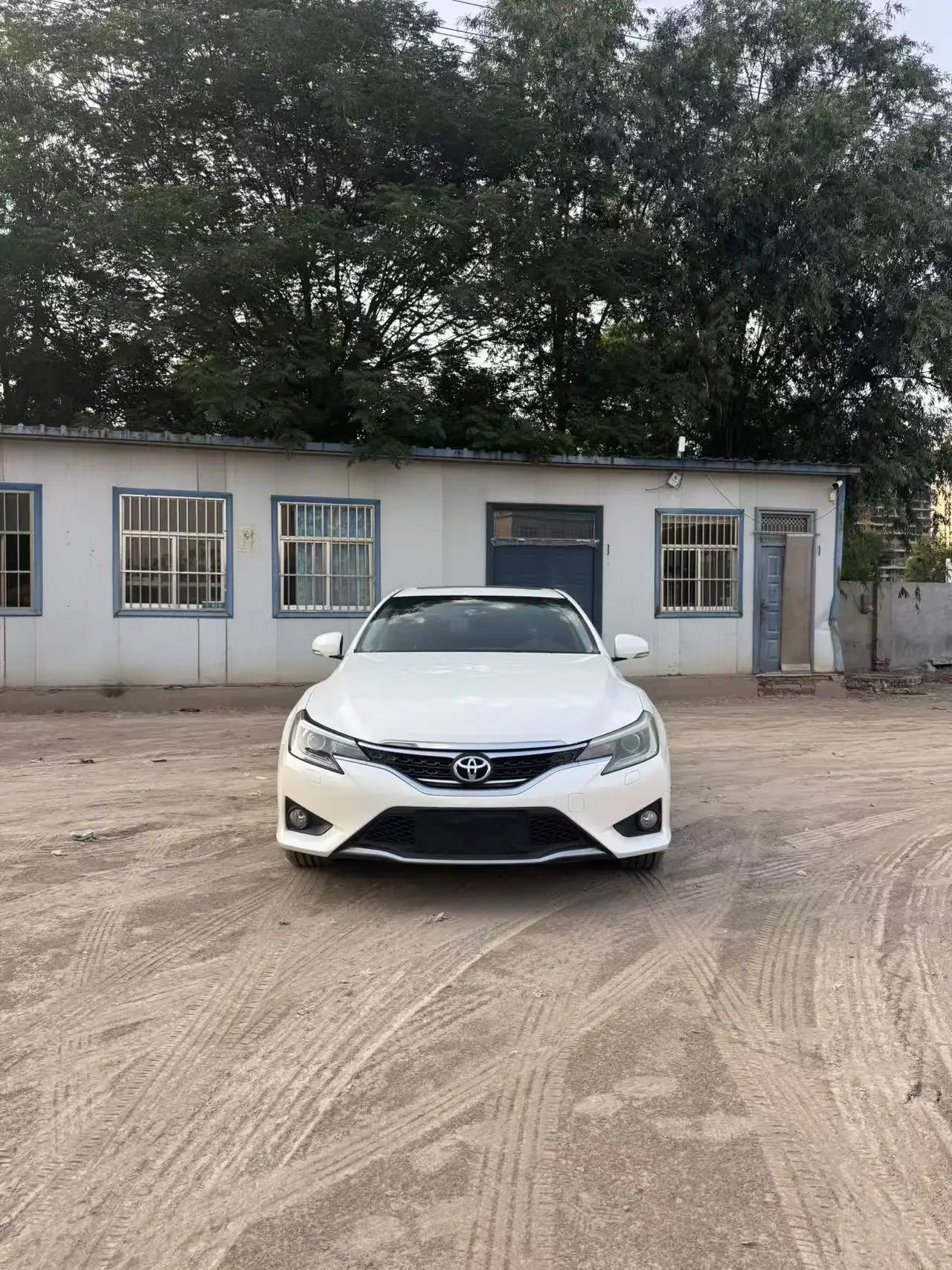 Toyota Ruizhi