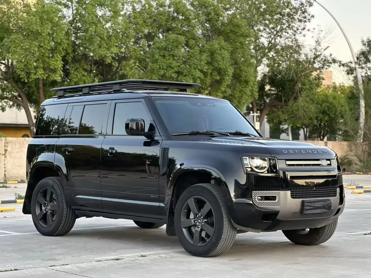 Land Rover guard