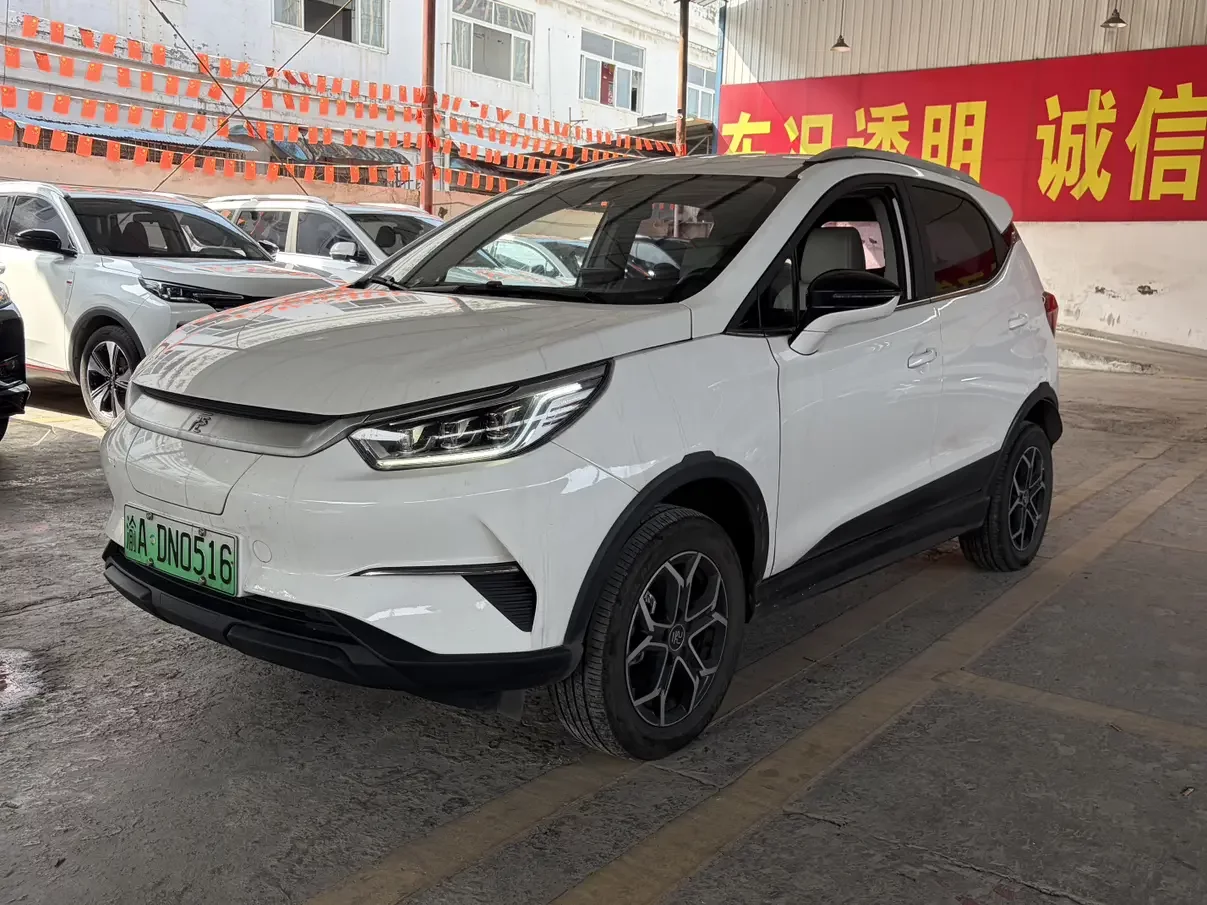 BYD Yuan Pro