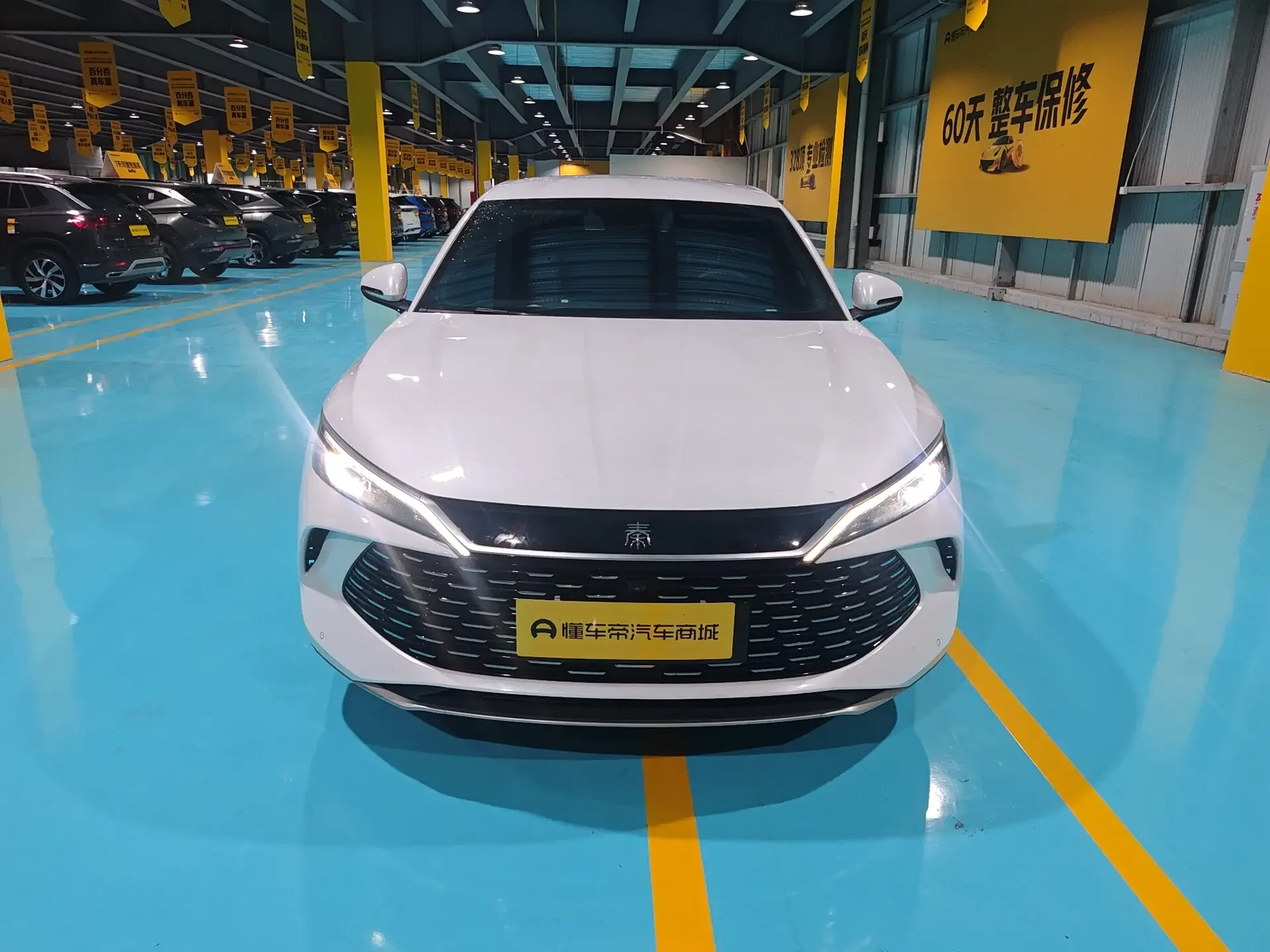BYD Qin L DM