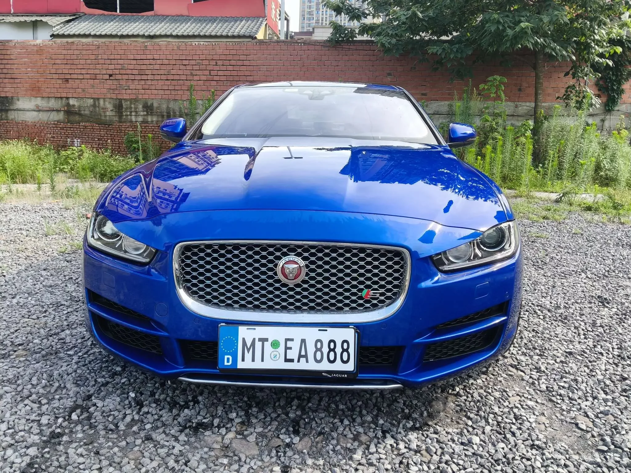 Jaguar XEL