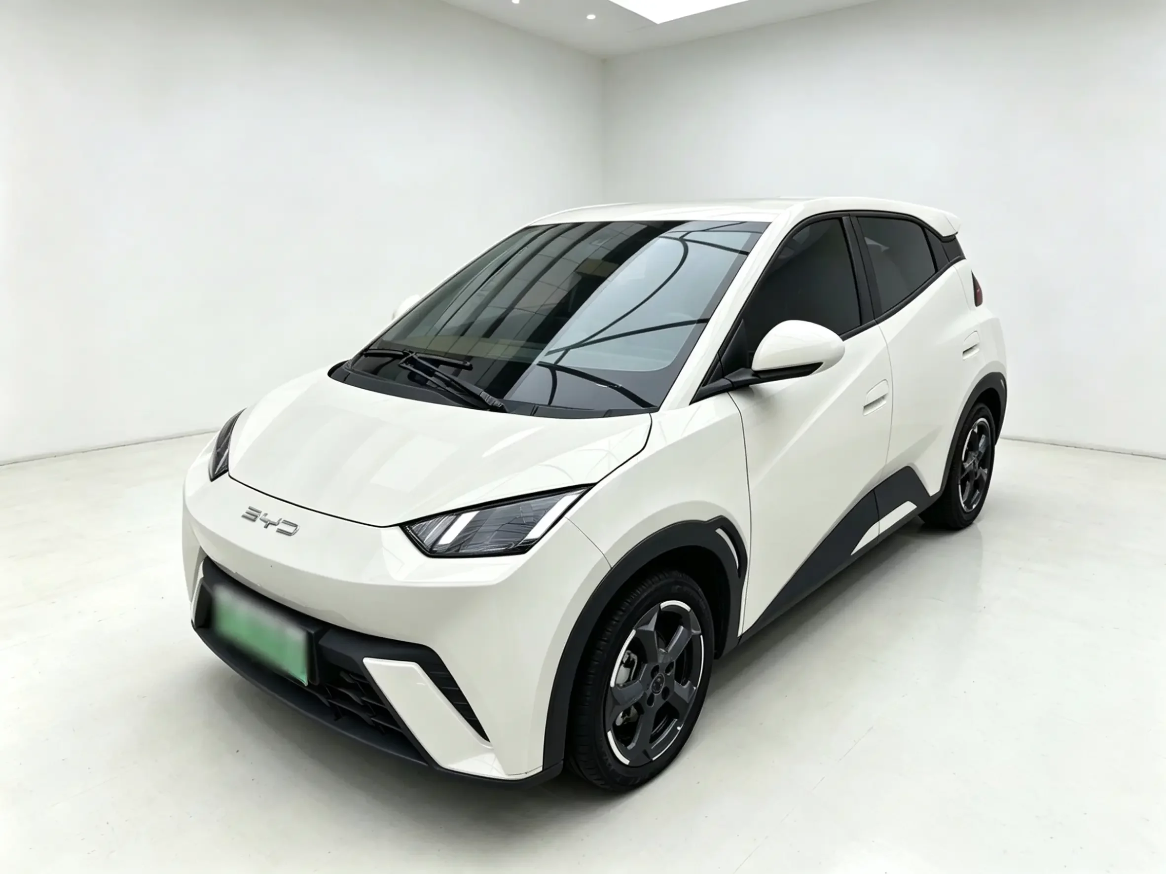 BYD seagull