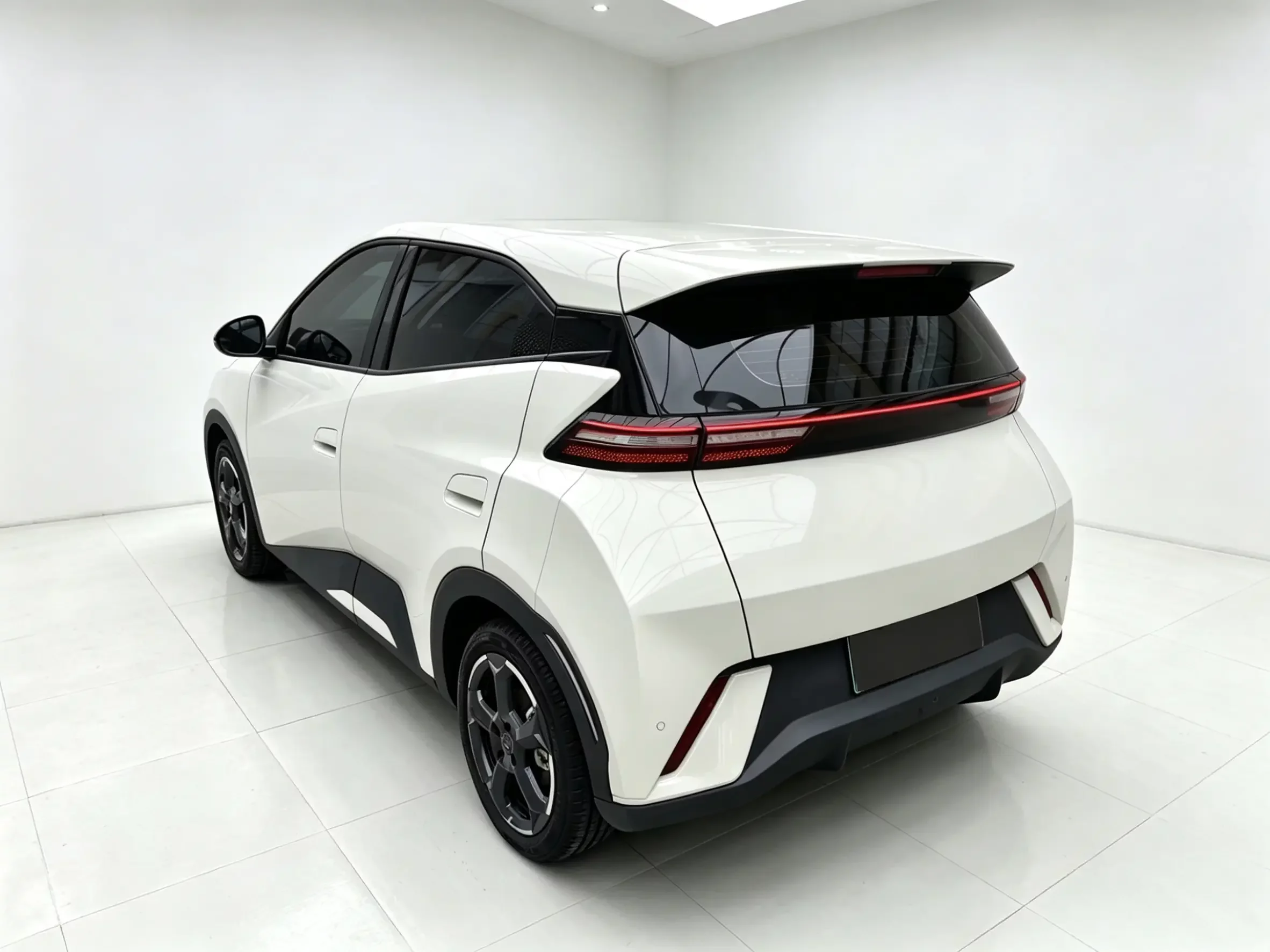 BYD seagull