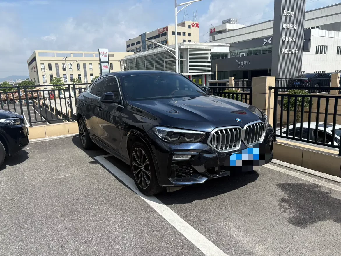 BMW X6