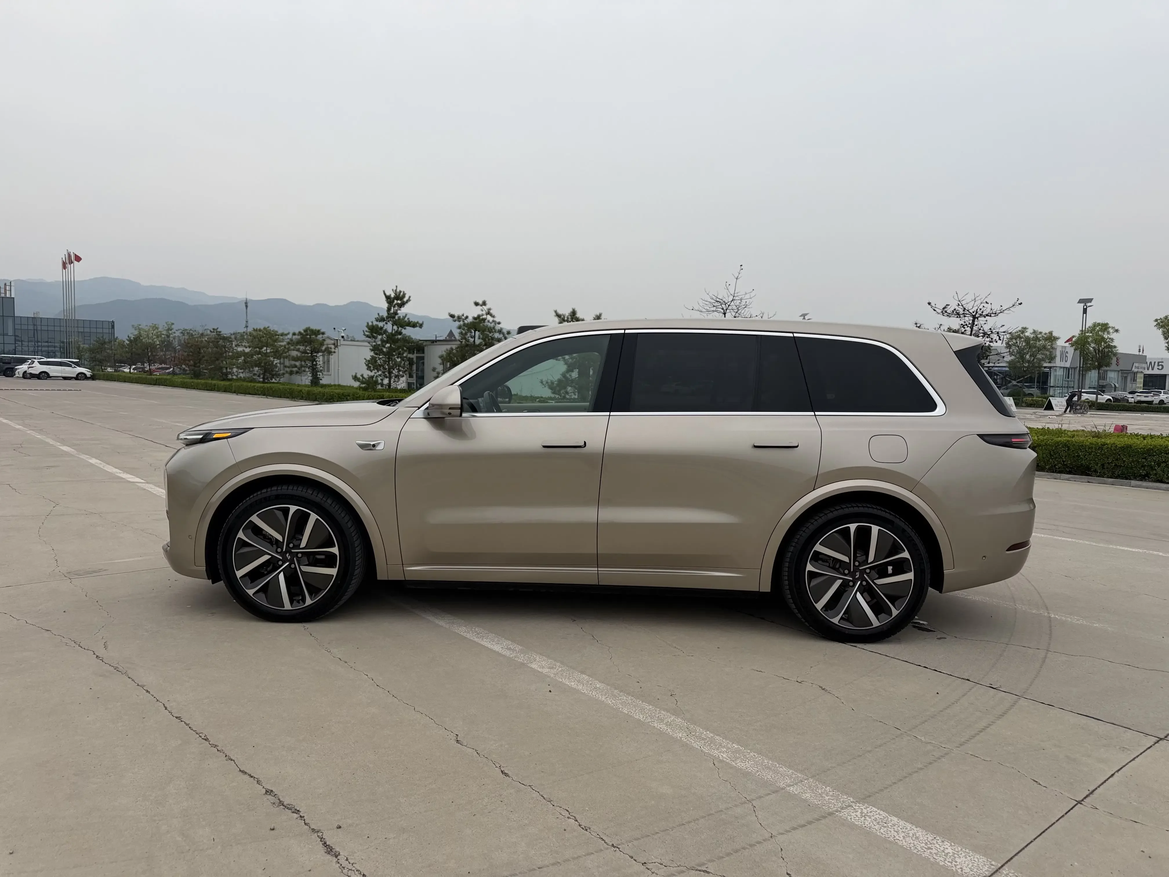 Lixiang L9