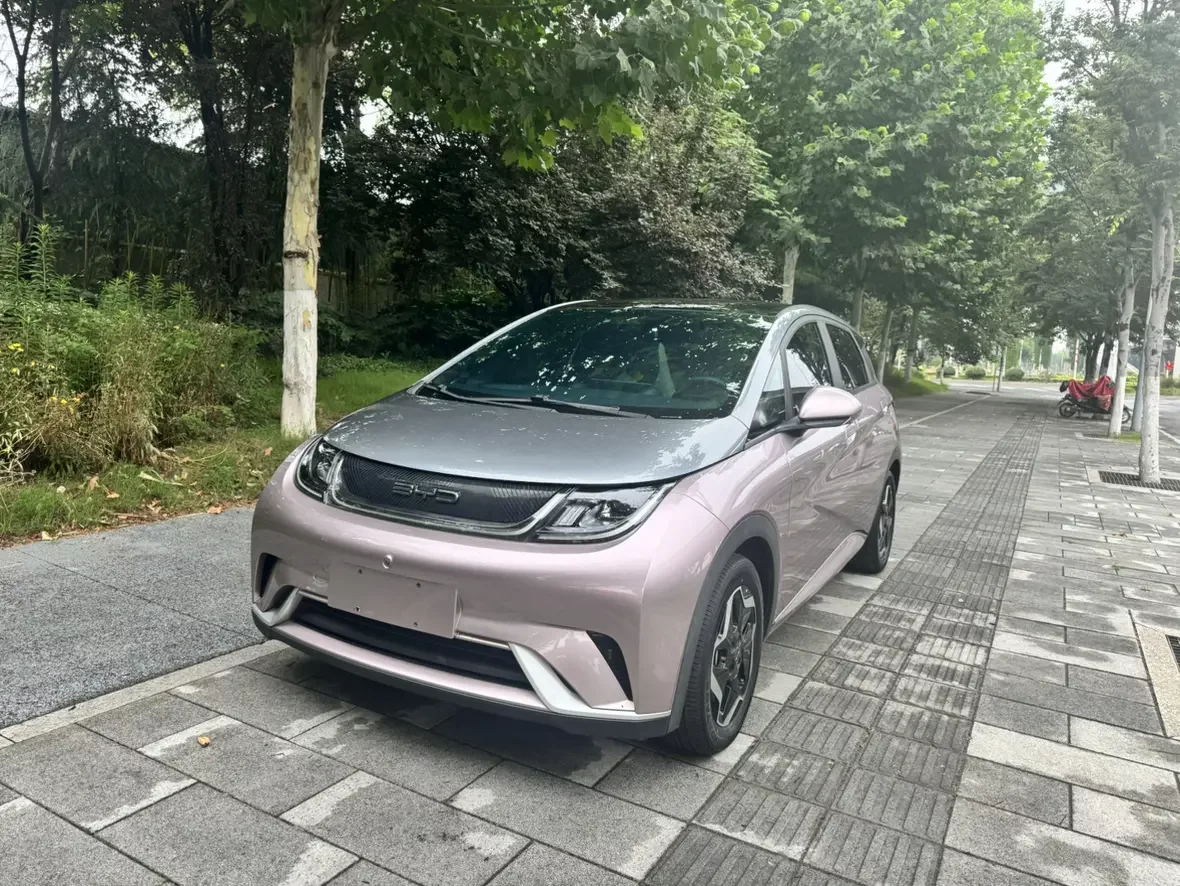 BYD dolphin