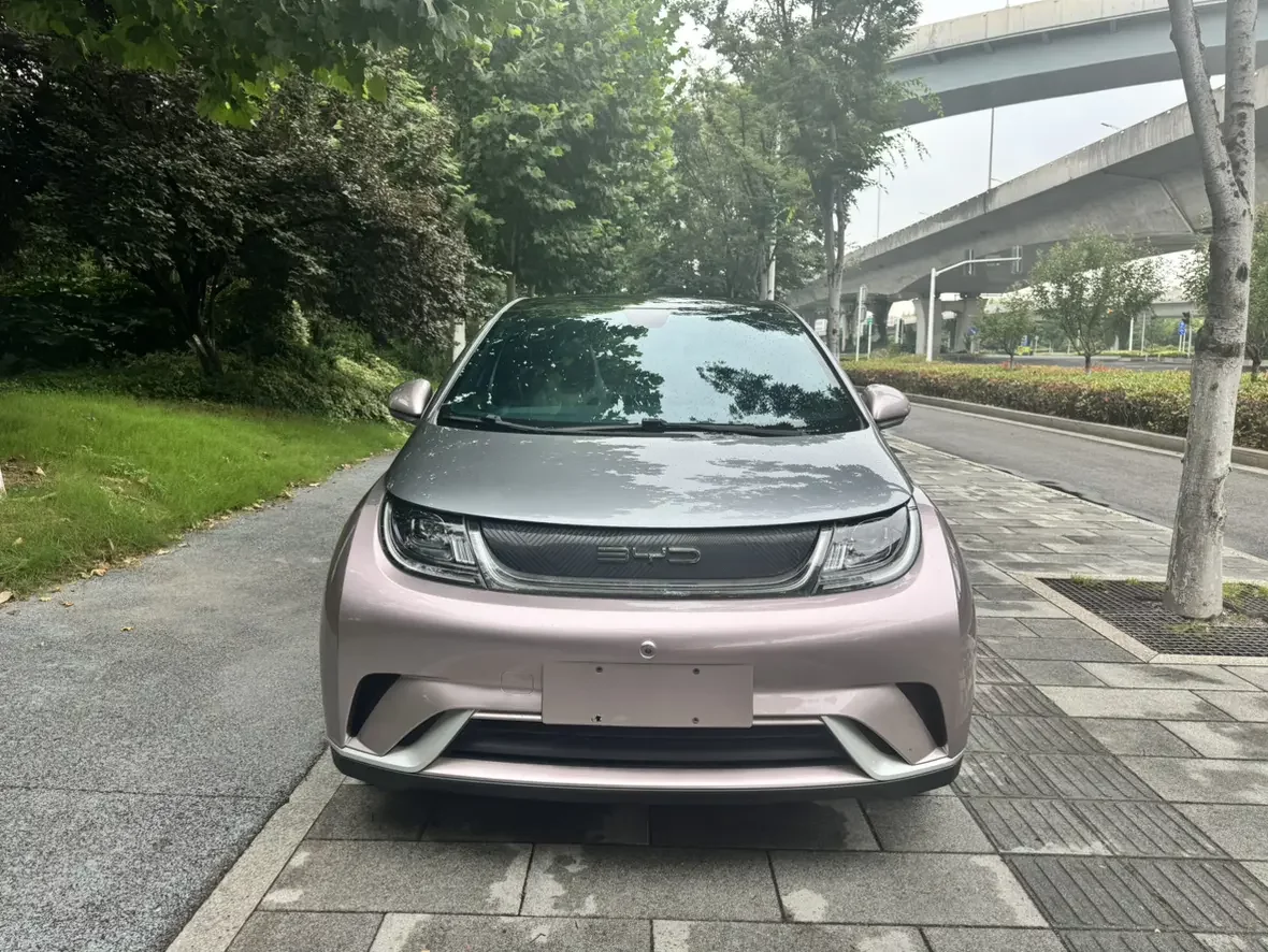 BYD dolphin