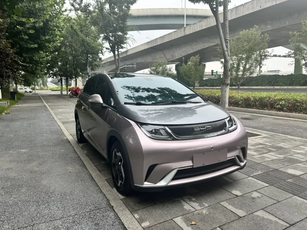 BYD dolphin