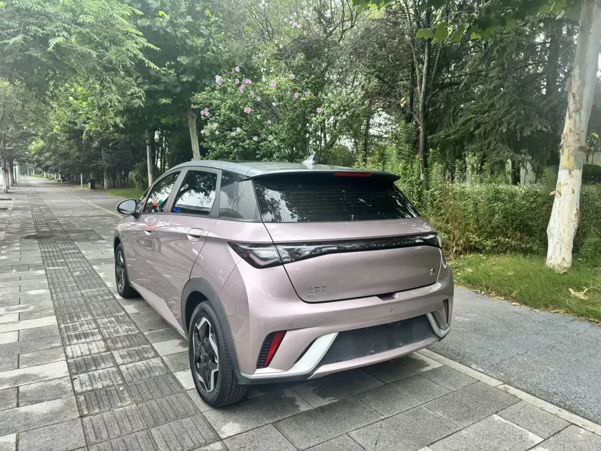 BYD dolphin