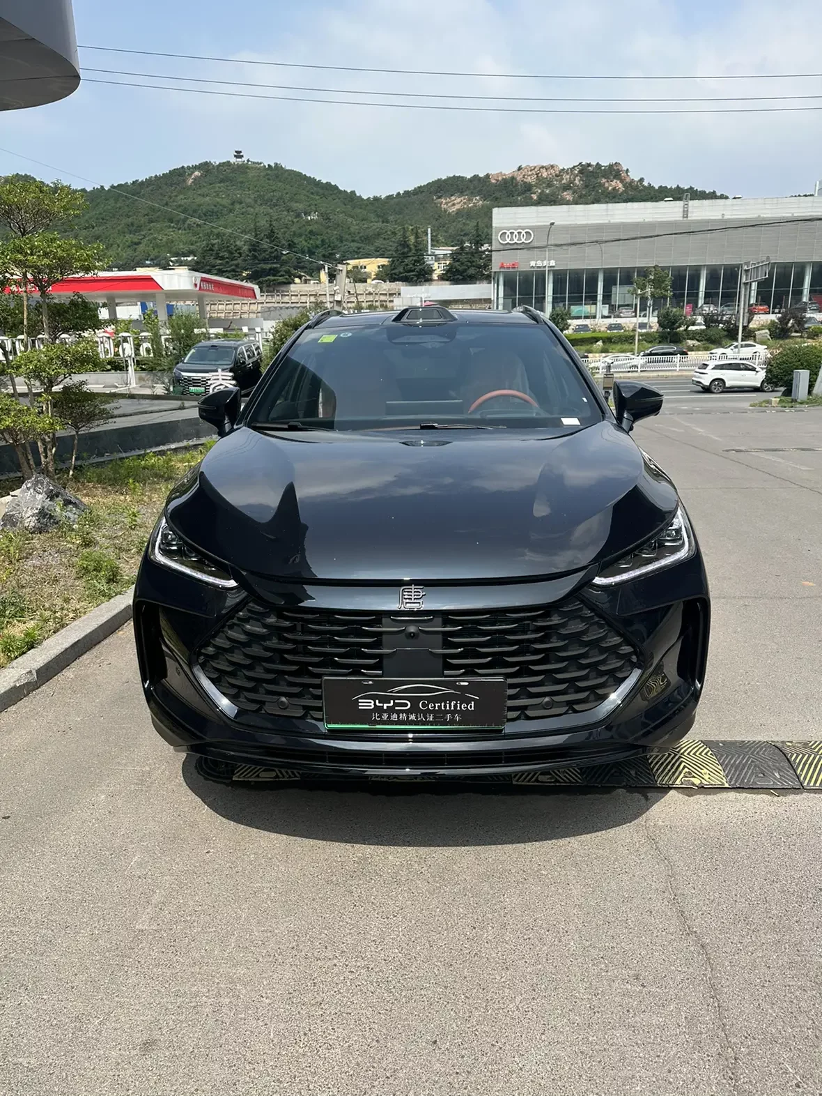 BYD Tang DM