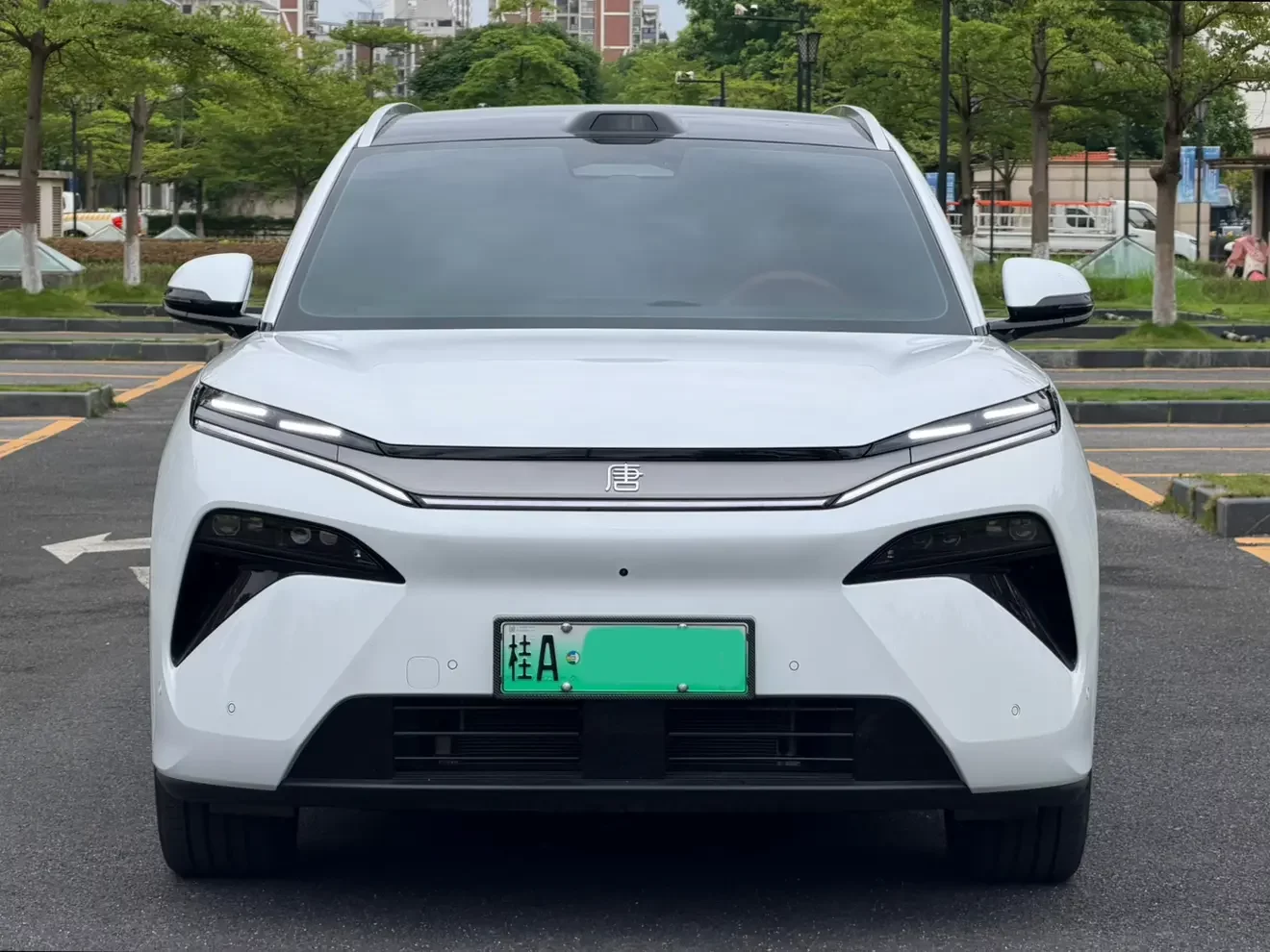 BYD Tang L EV