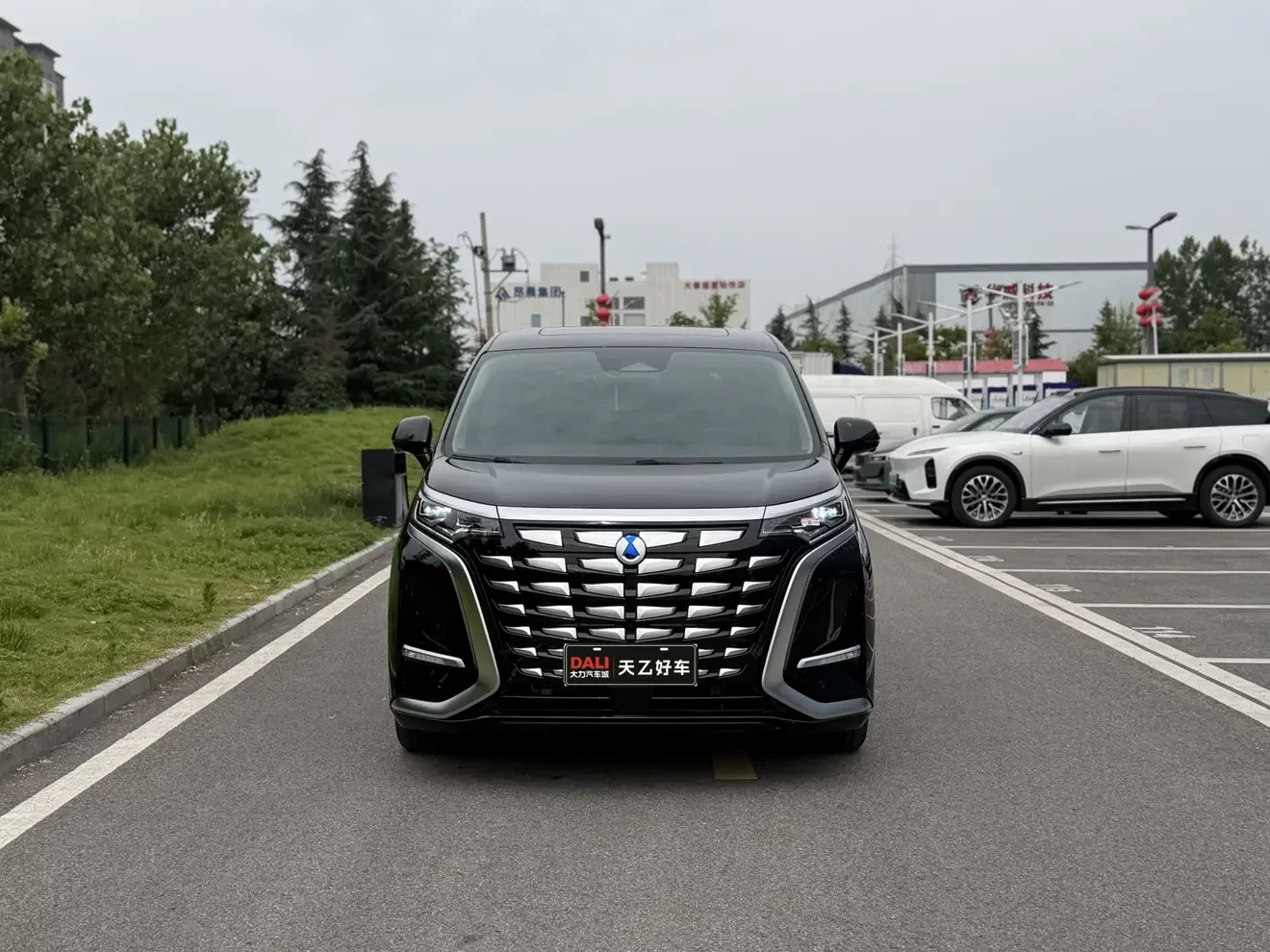 Denza D9 DM