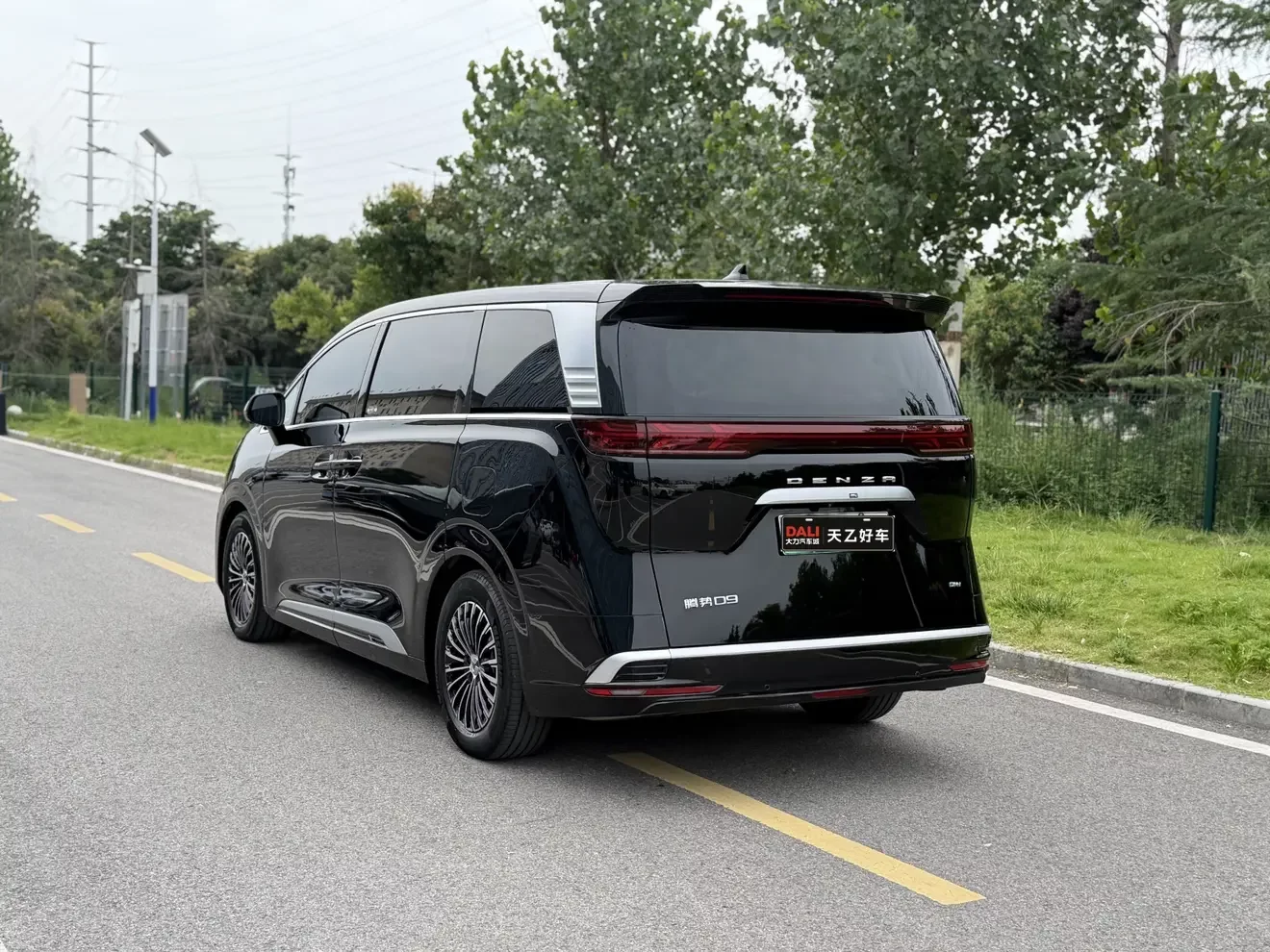 Denza D9 DM