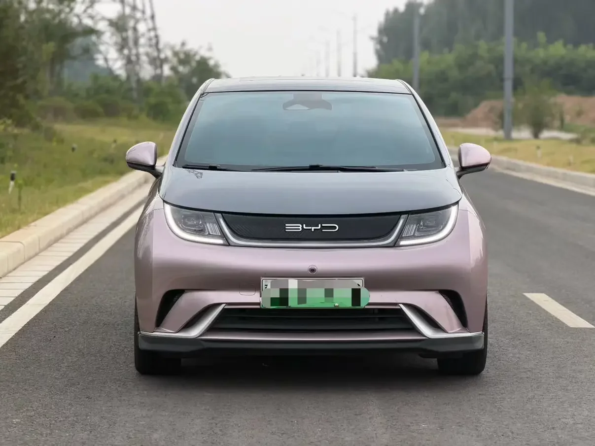 BYD dolphin