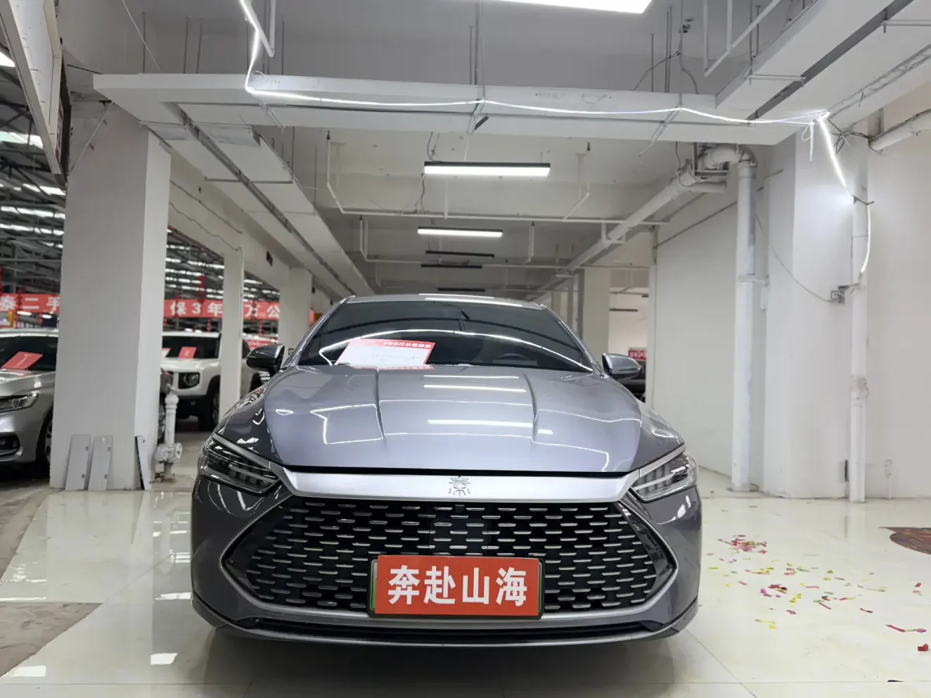 BYD Qin PLUS DM