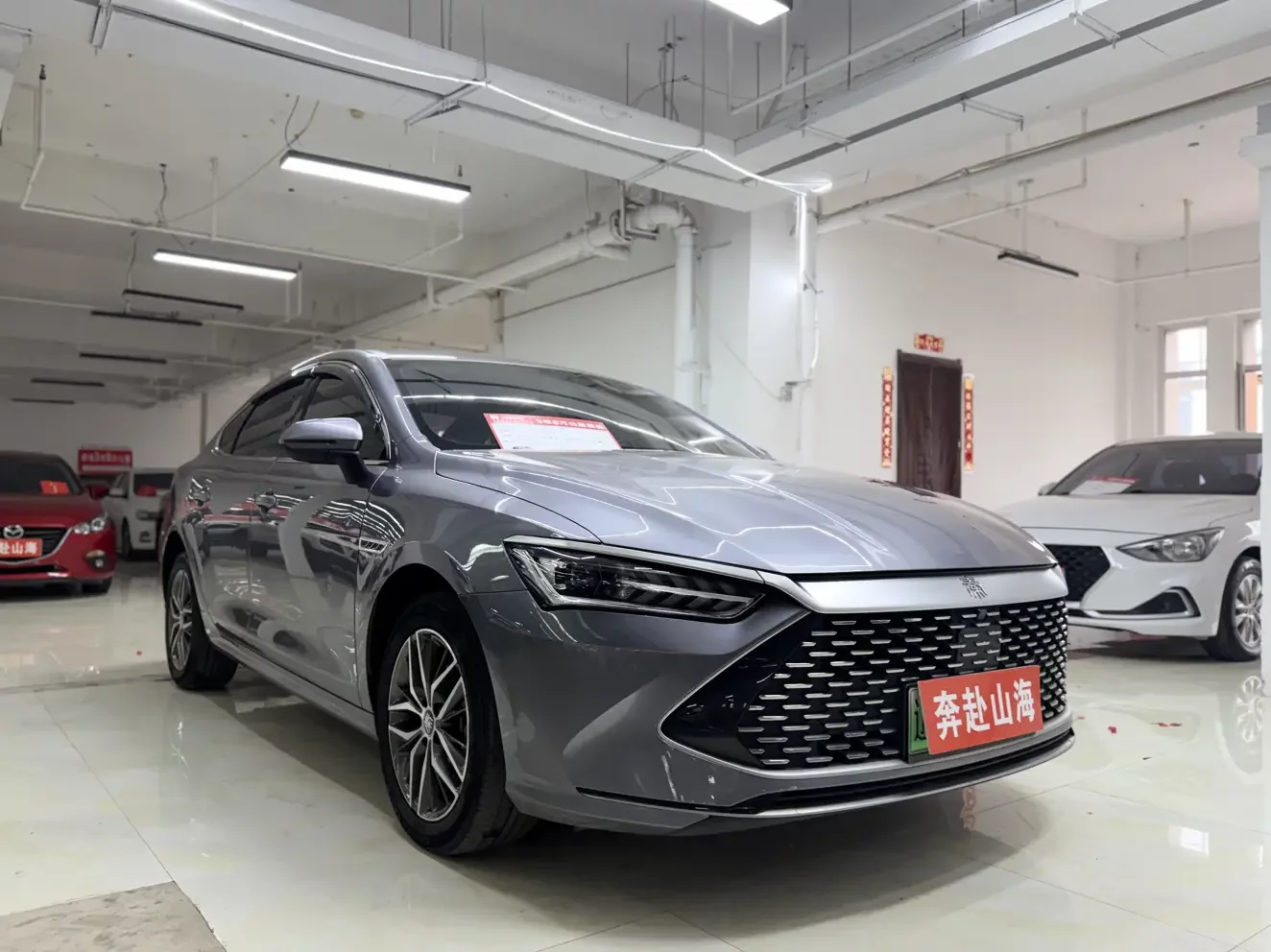 BYD Qin PLUS DM