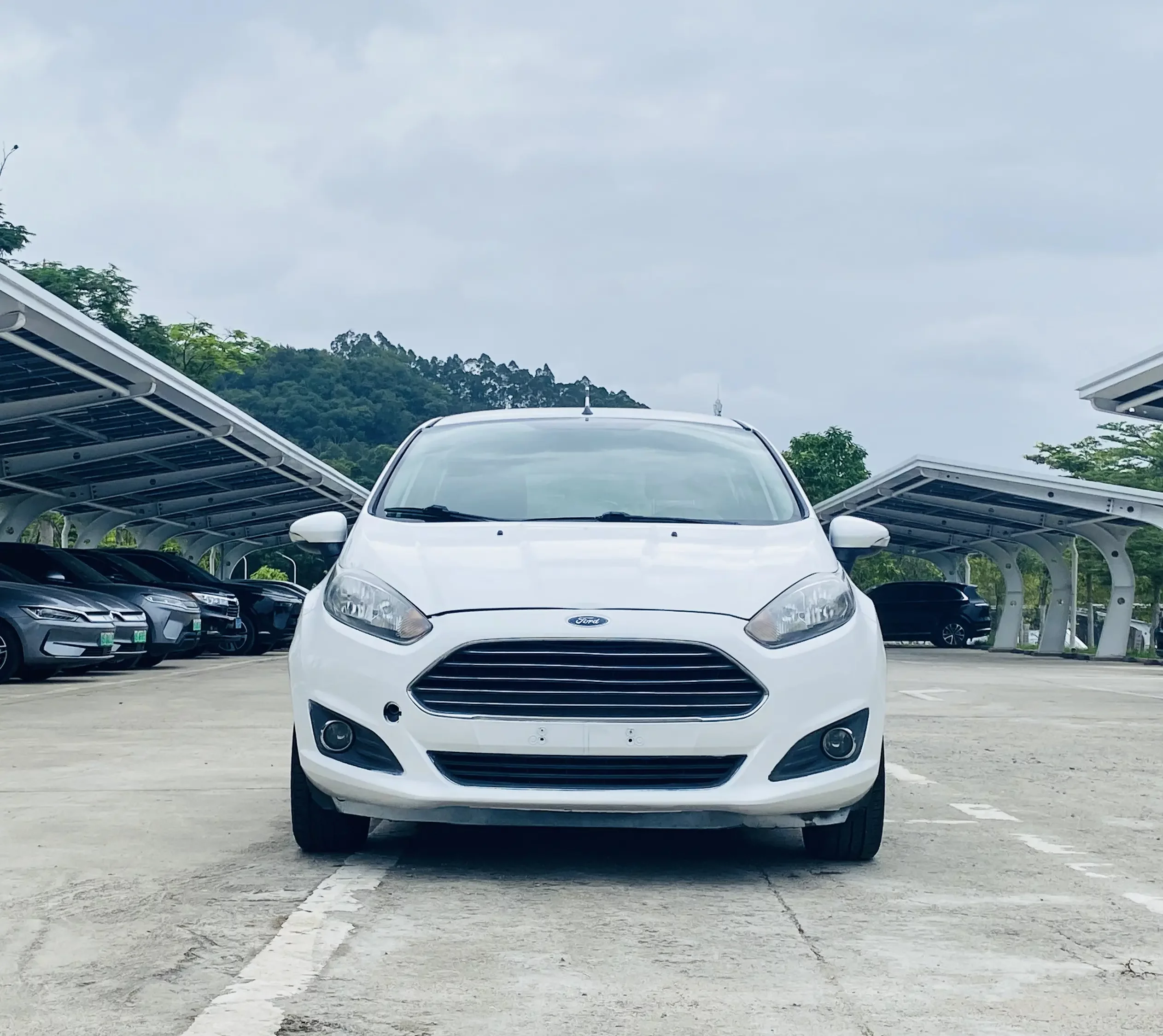 Ford carnival