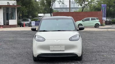 Wuling Bingo