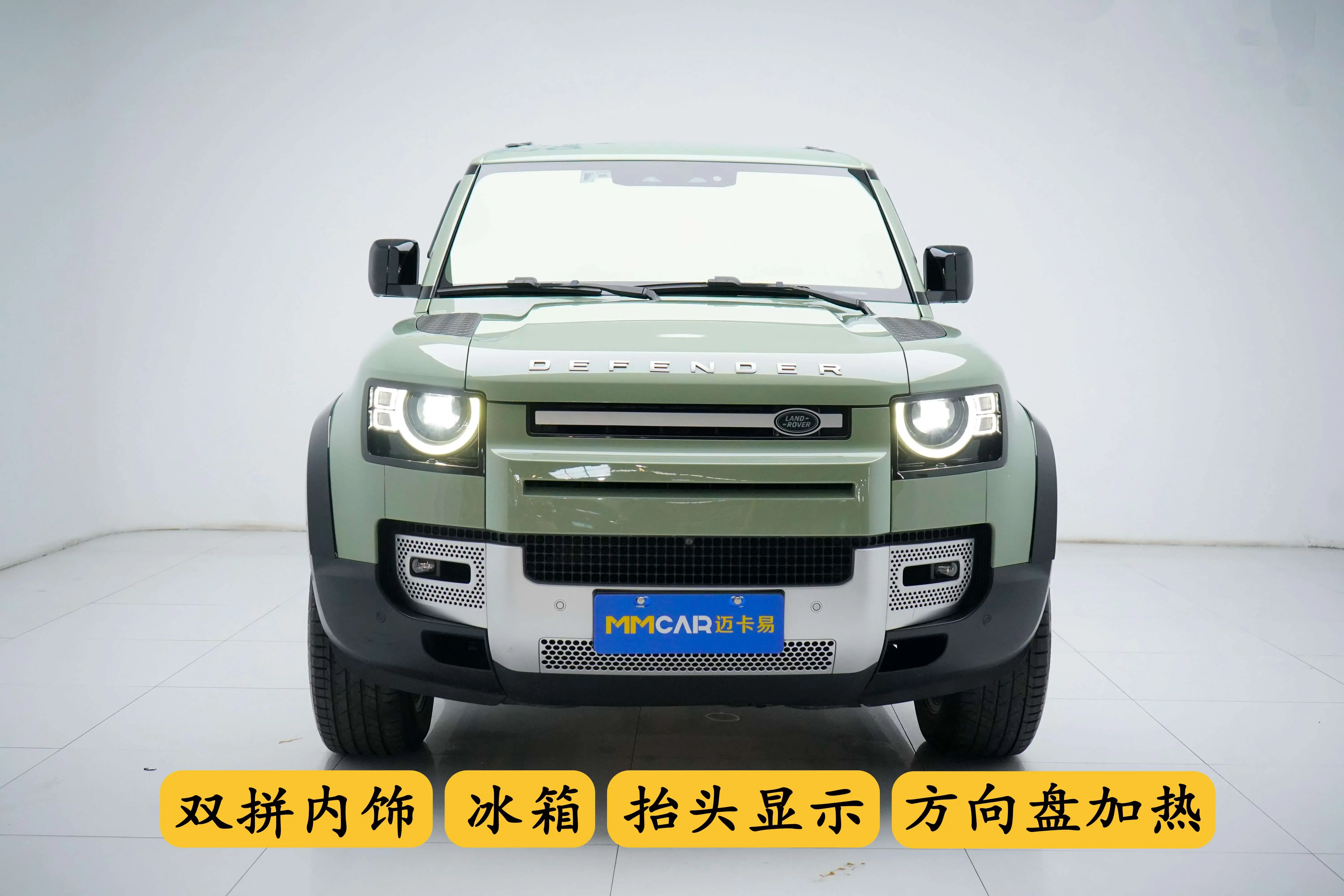 Land Rover guard