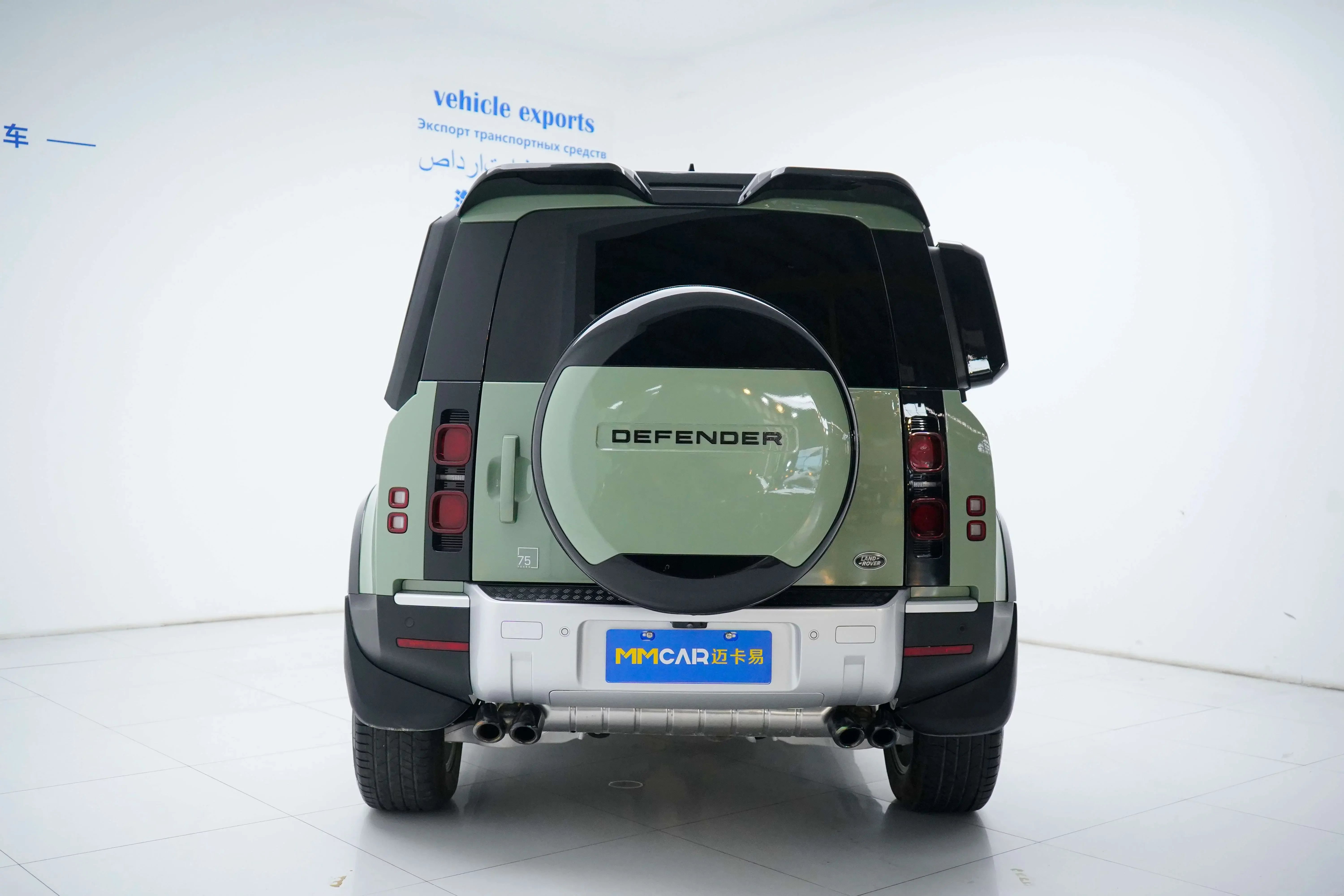 Land Rover guard