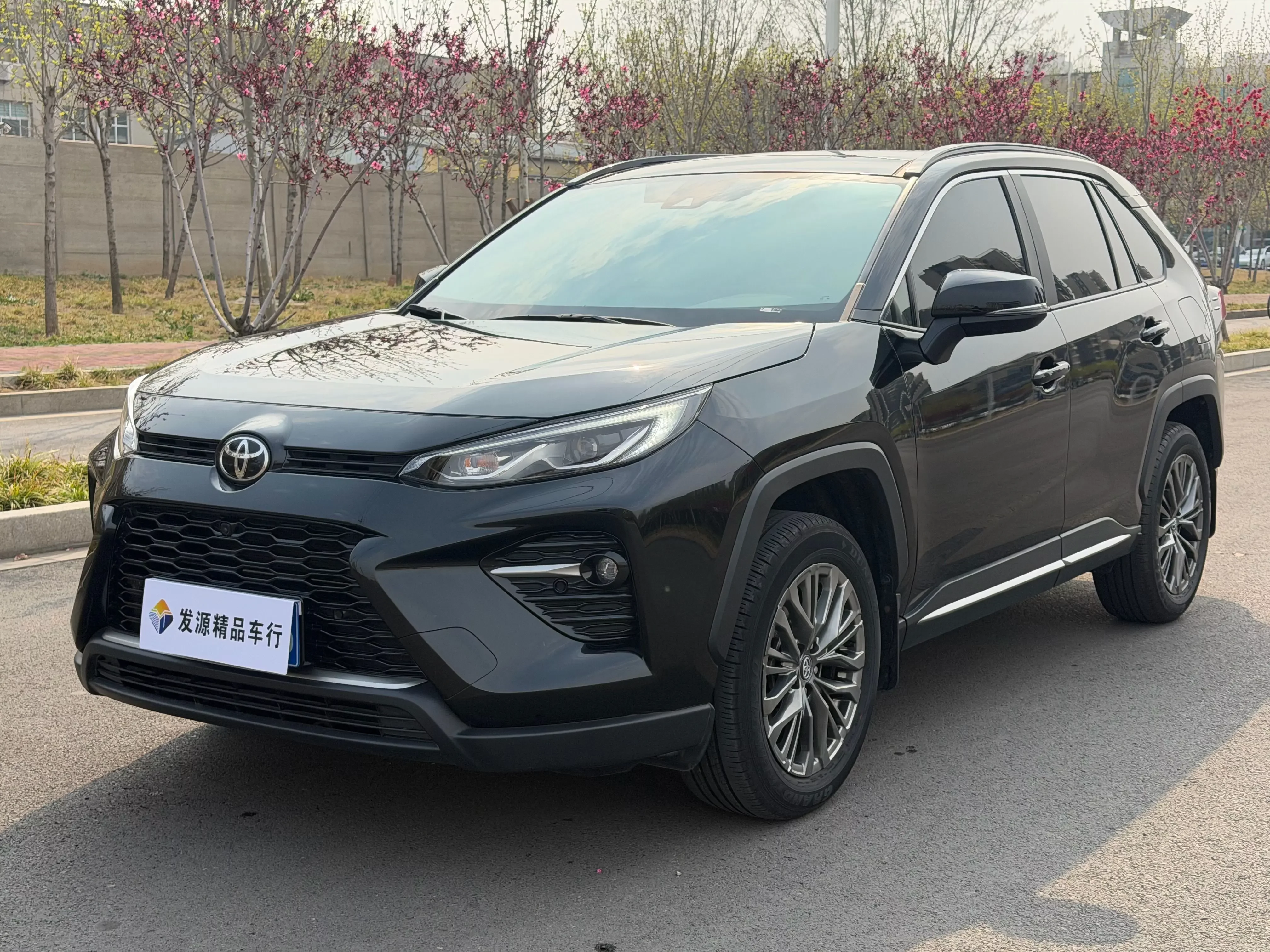 Toyota Willanda