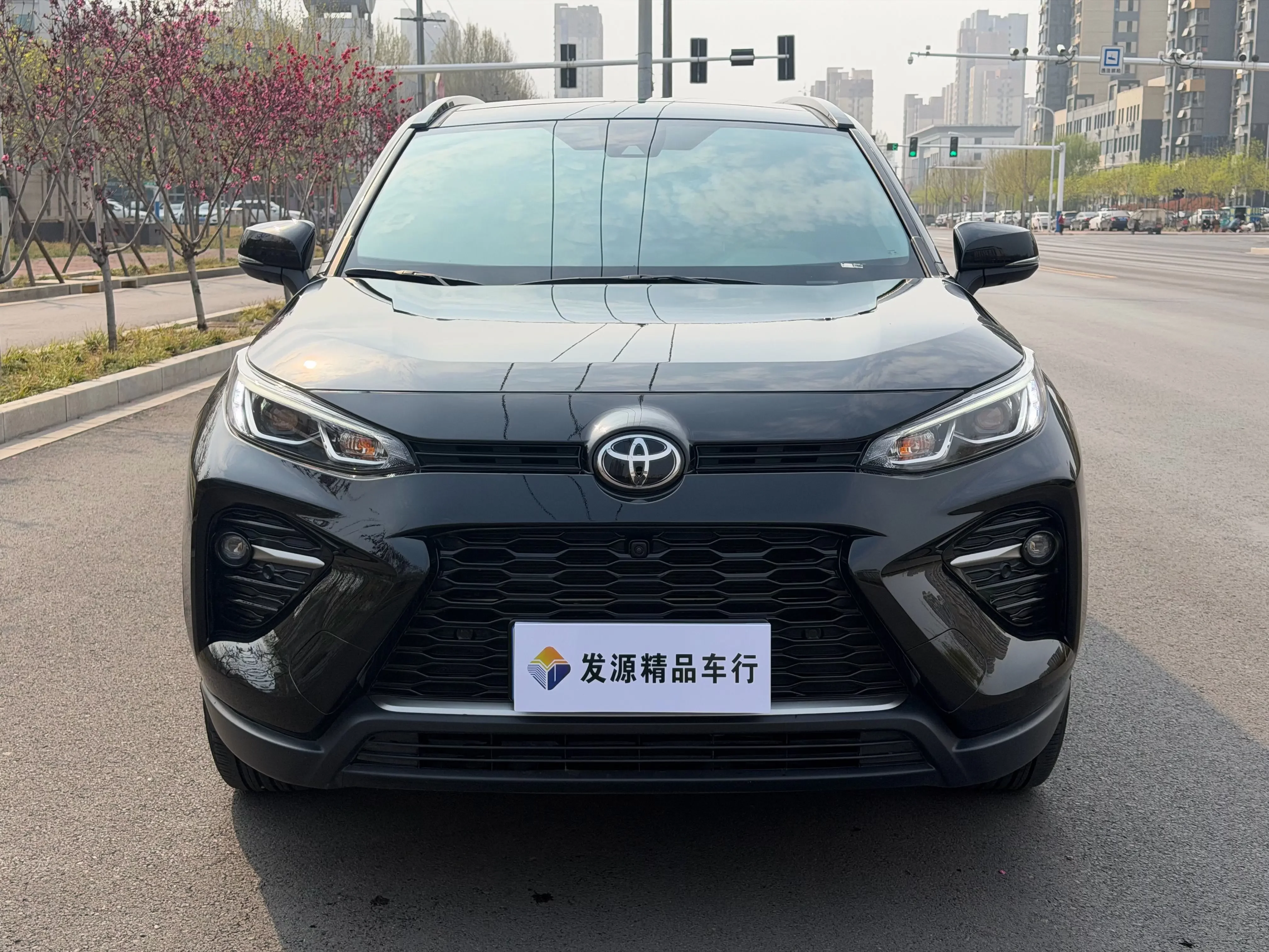 Toyota Willanda