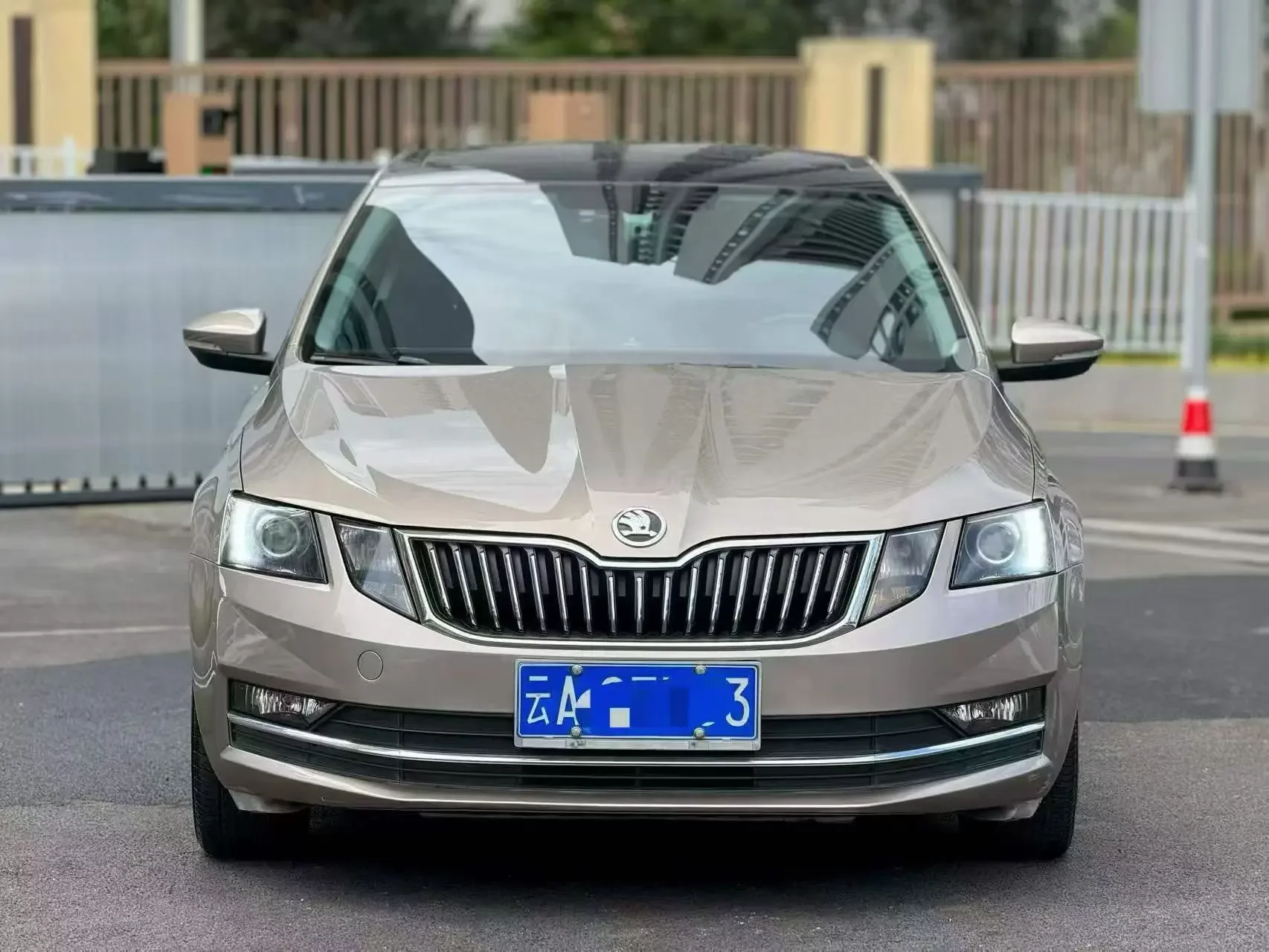 Skoda Octavia  из Китая