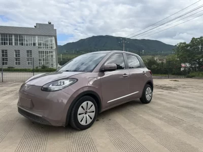 Wuling Bingo