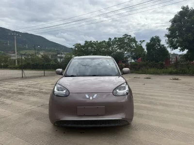 Wuling Bingo