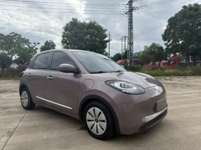 Wuling Bingo