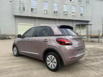 Wuling Bingo