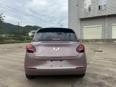 Wuling Bingo