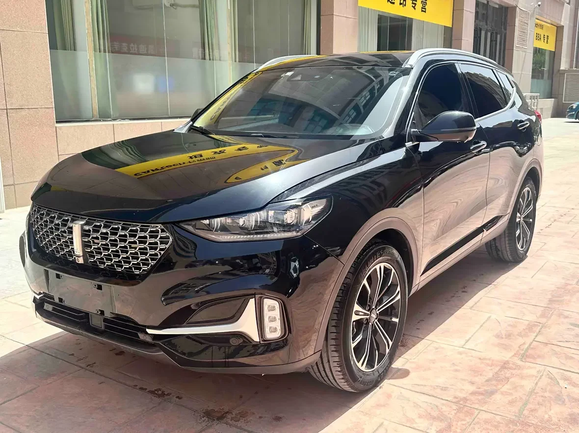 Wey Wei brand VV6