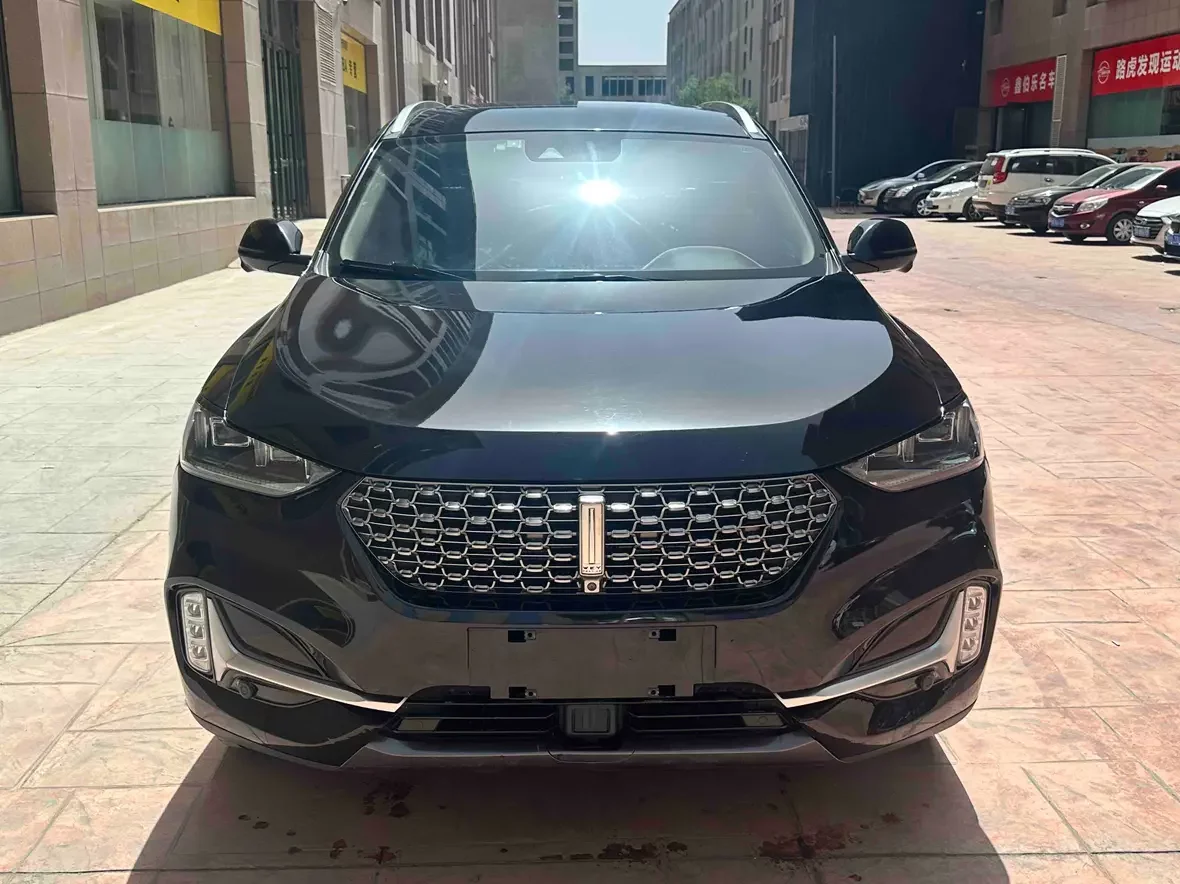 Wey Wei brand VV6