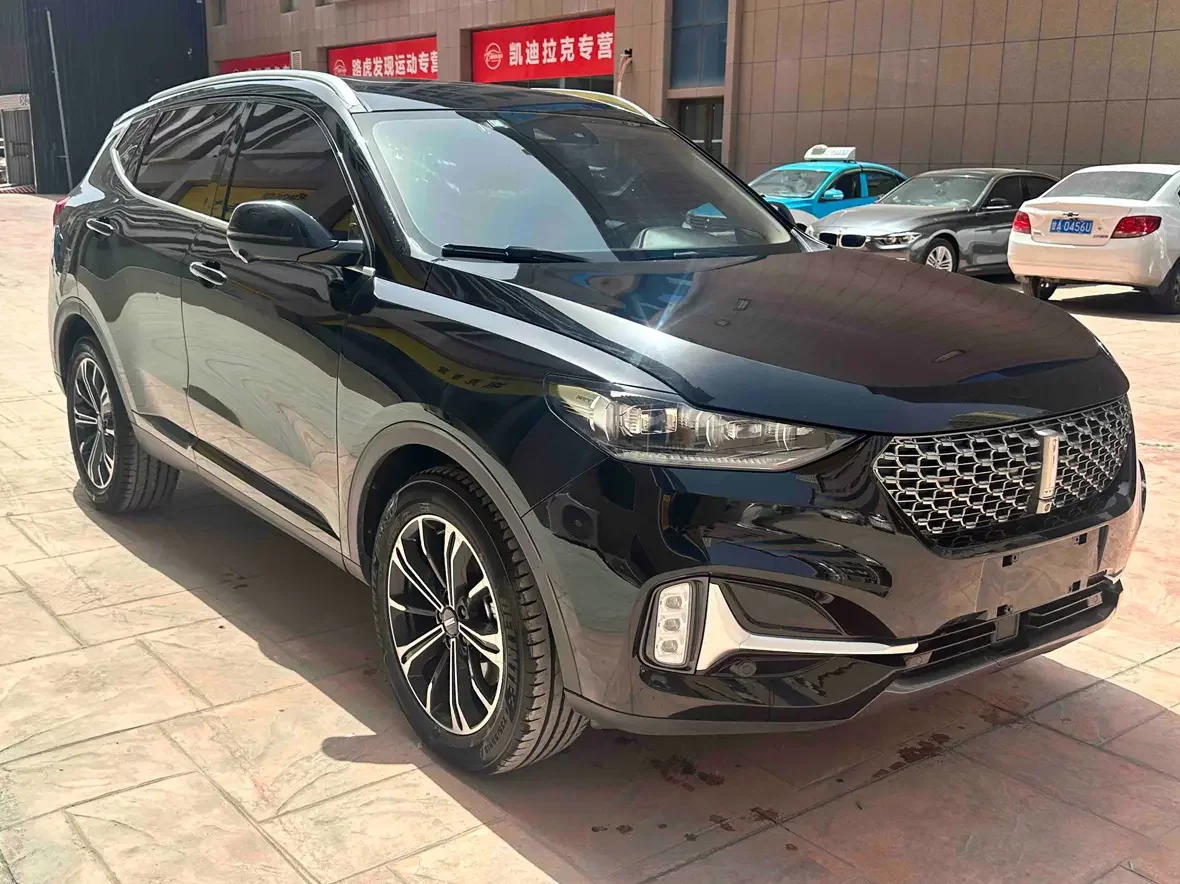 Wey Wei brand VV6