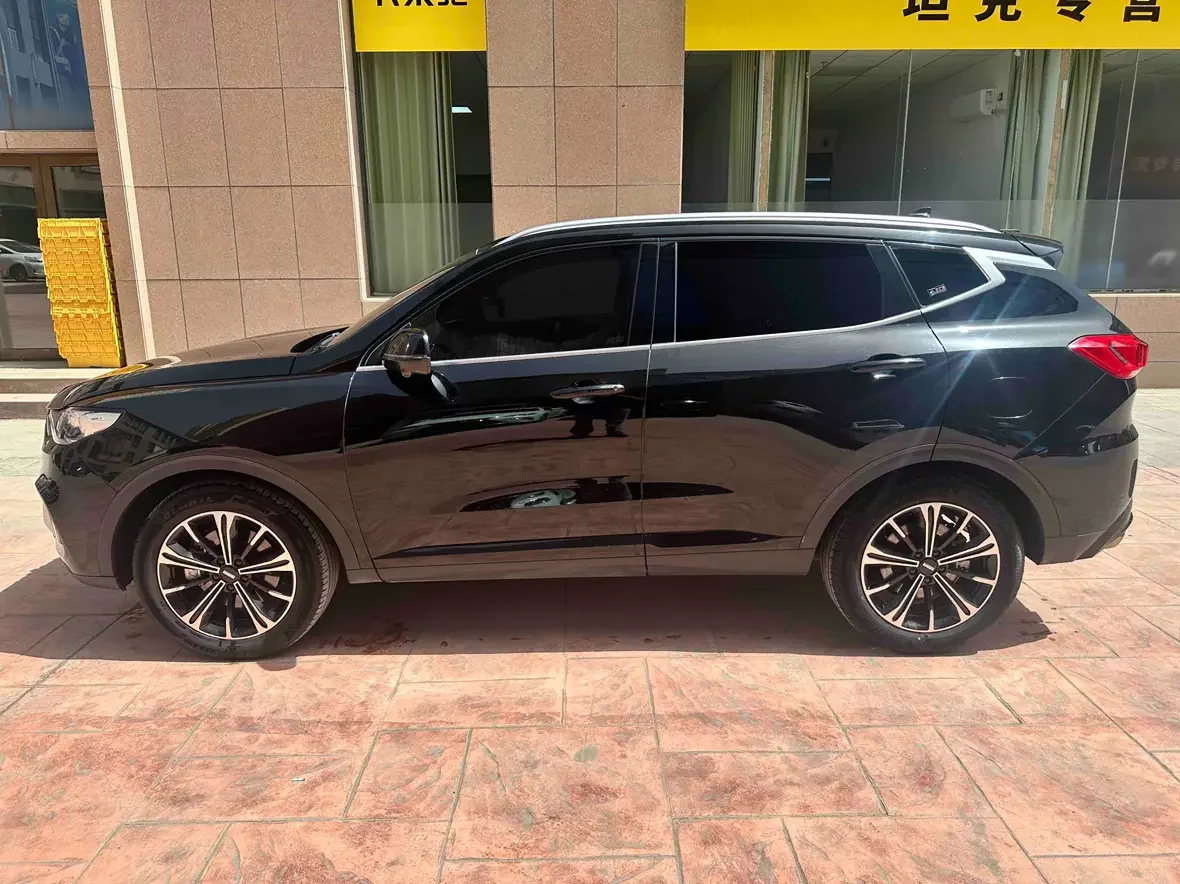 Wey Wei brand VV6