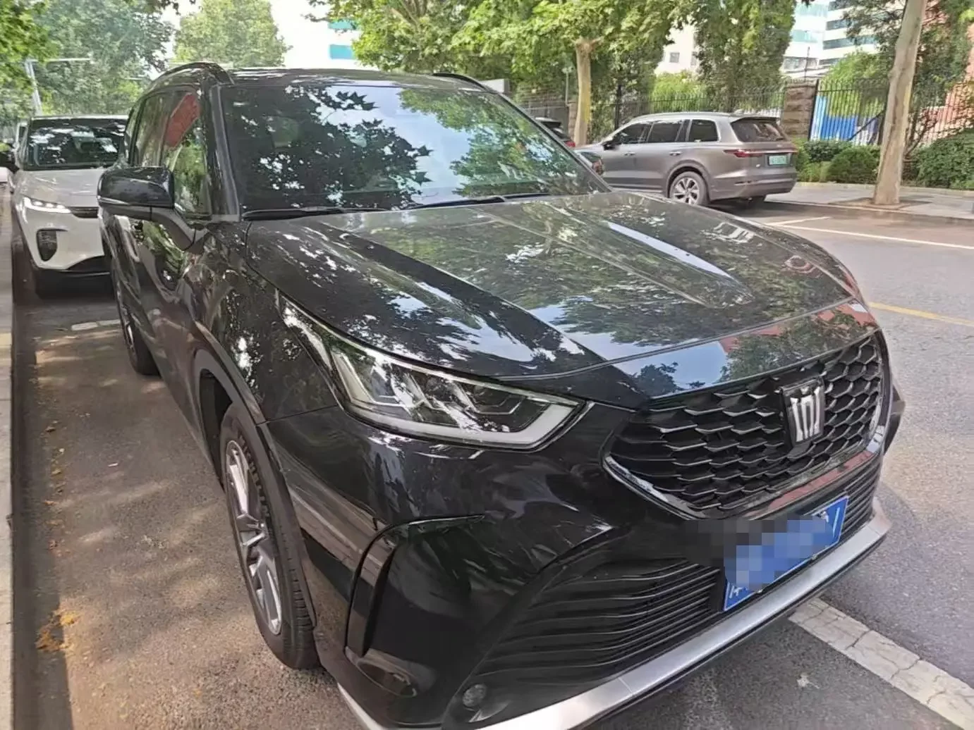 Toyota Crown Kluger