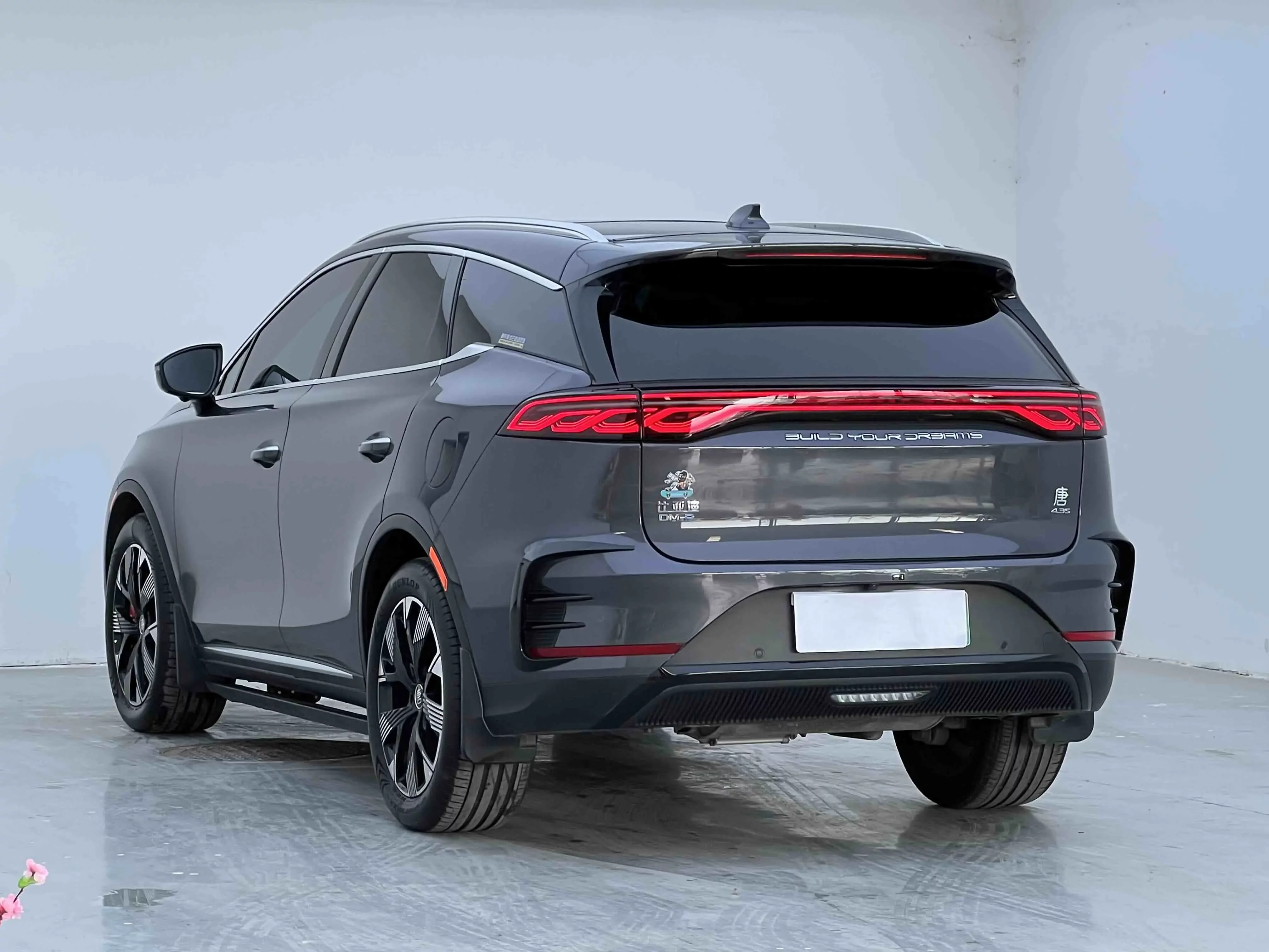 BYD Tang DM