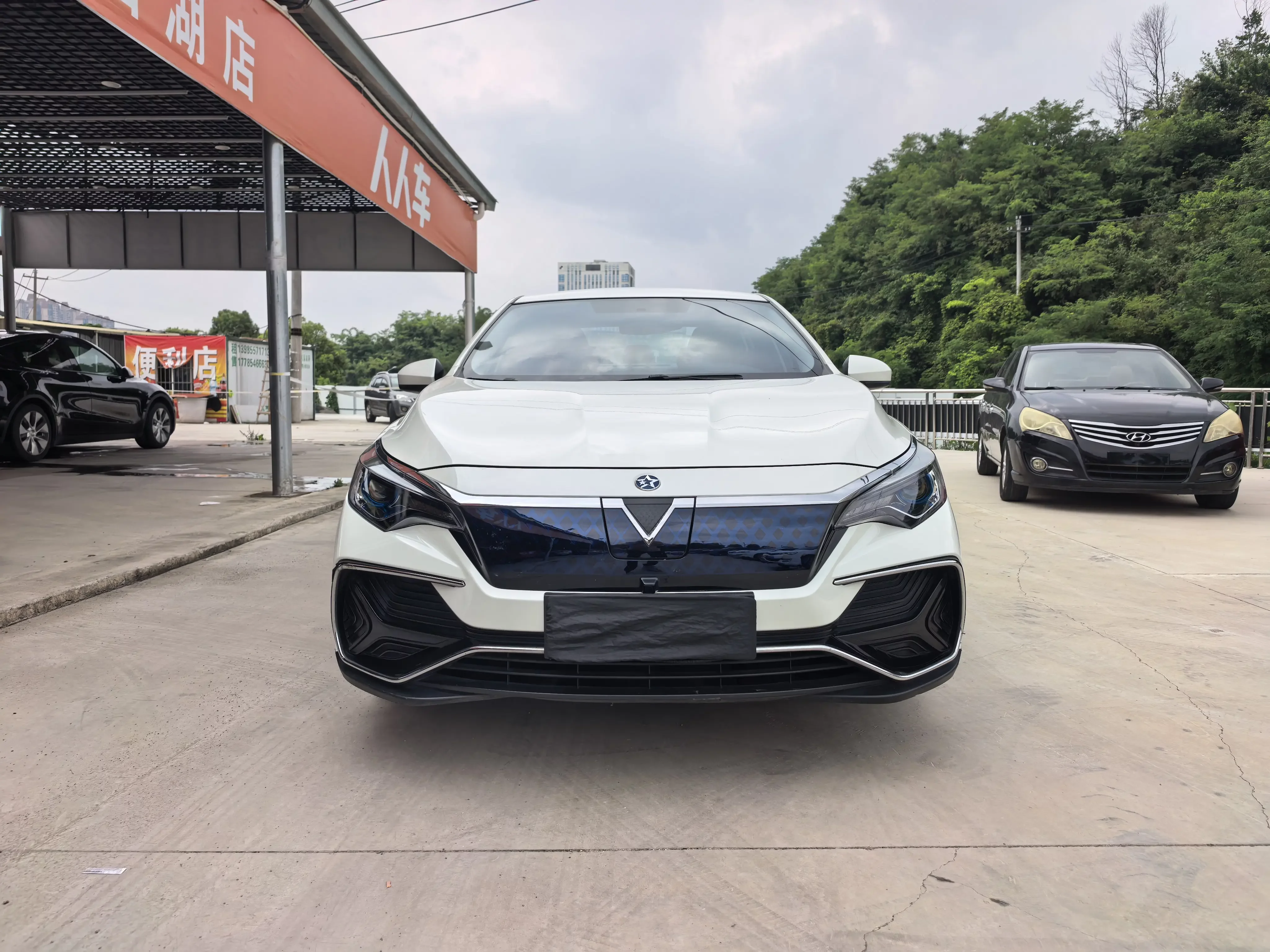 Kai Chen Venucia D60 EV