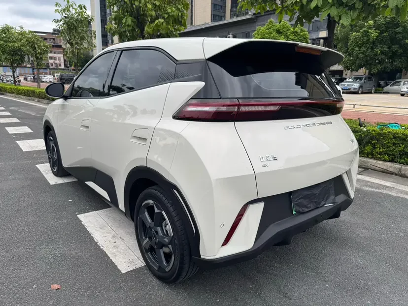 BYD seagull