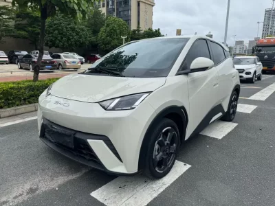 BYD Seagull