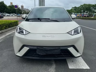 BYD Seagull