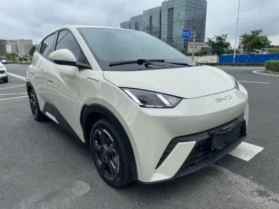 BYD Seagull