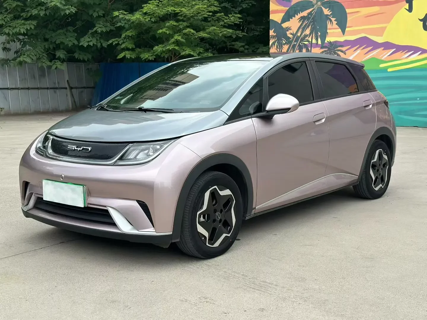 BYD dolphin