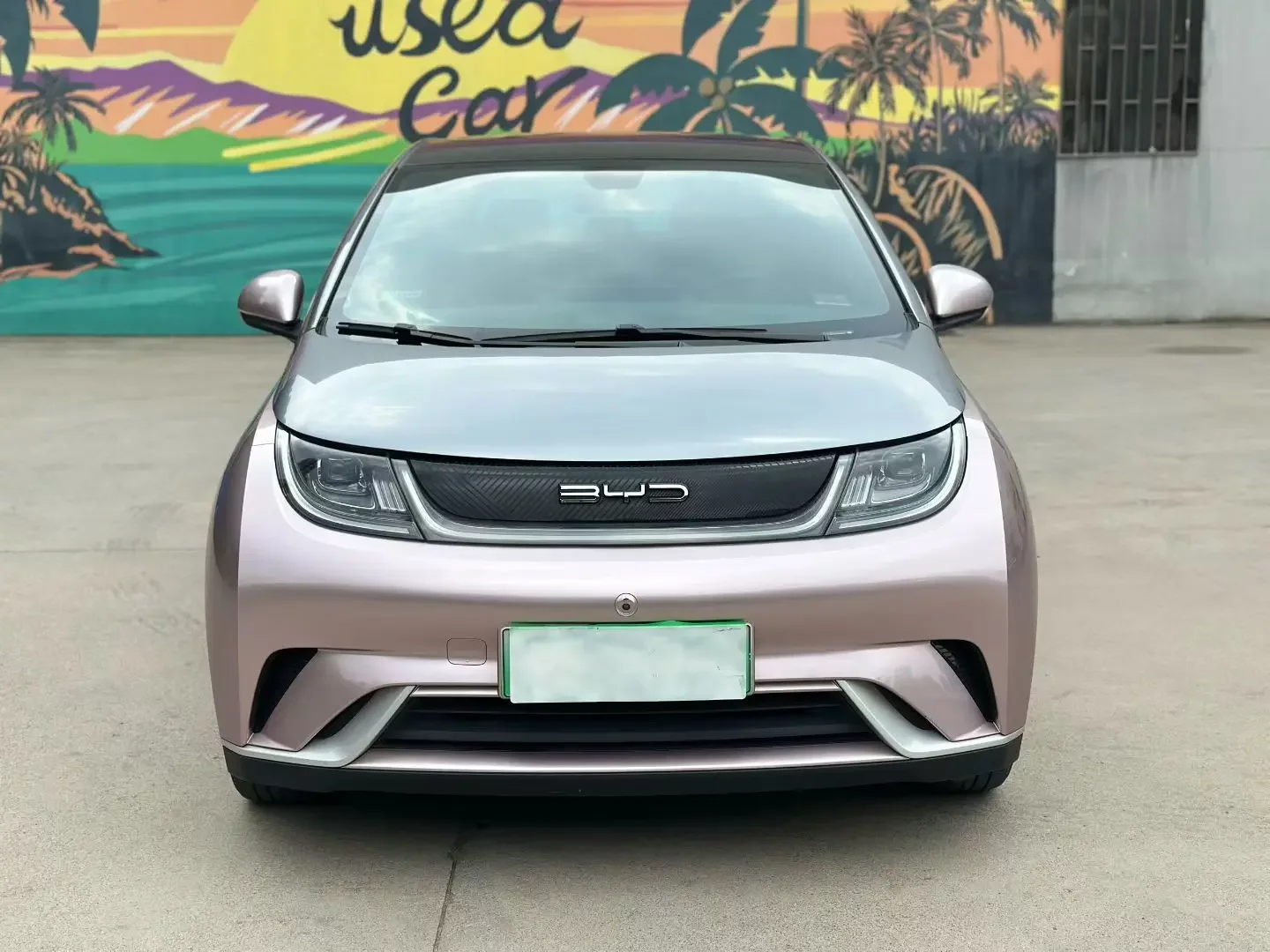 BYD dolphin